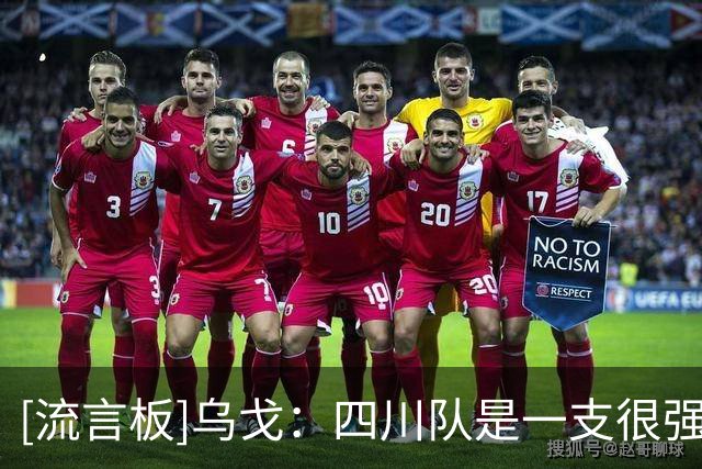 [流言板]乌戈：四川队是一支很强的队伍，但是幸运的是我们笑到最后
